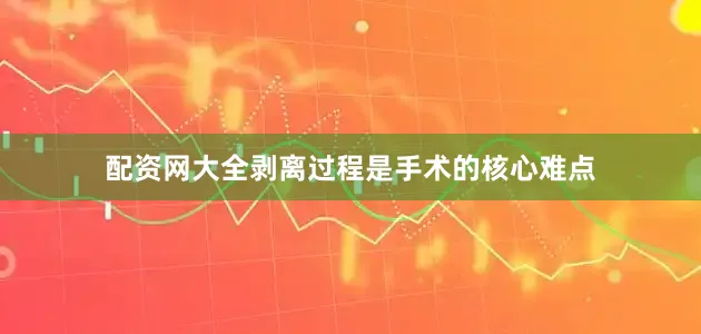 配资网大全剥离过程是手术的核心难点