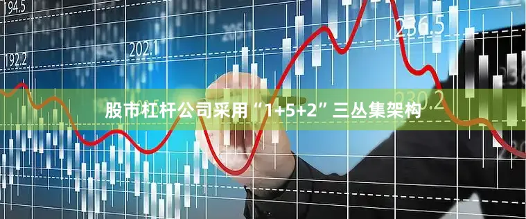 股市杠杆公司采用“1+5+2”三丛集架构