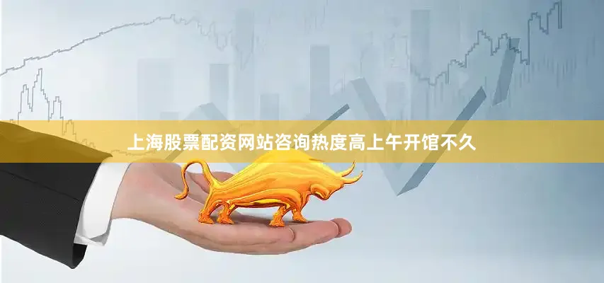 上海股票配资网站咨询热度高上午开馆不久