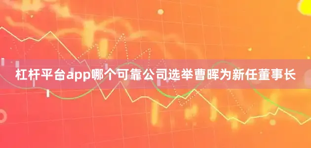 杠杆平台app哪个可靠公司选举曹晖为新任董事长