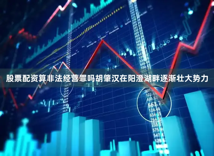股票配资算非法经营罪吗胡肇汉在阳澄湖畔逐渐壮大势力