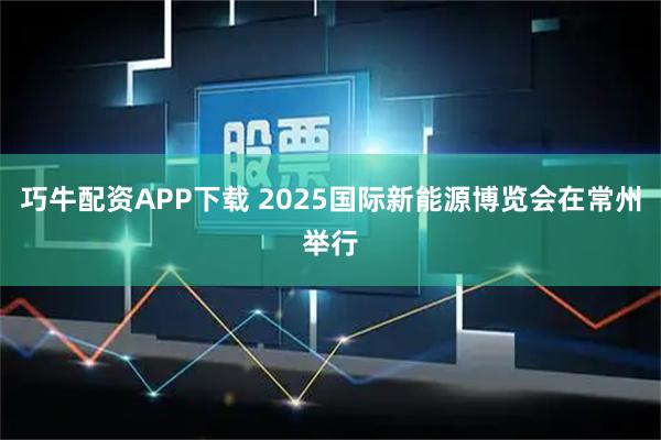 巧牛配资APP下载 2025国际新能源博览会在常州举行