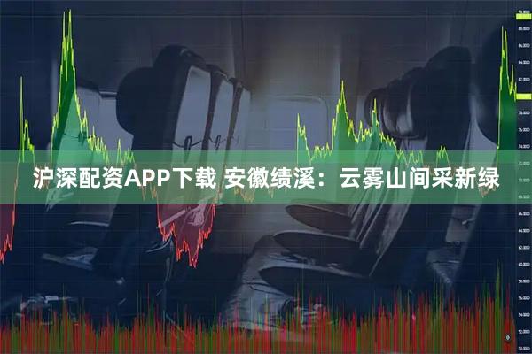 沪深配资APP下载 安徽绩溪：云雾山间采新绿